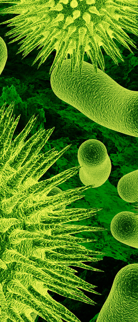 Microscopic close-up of enzymes in green light