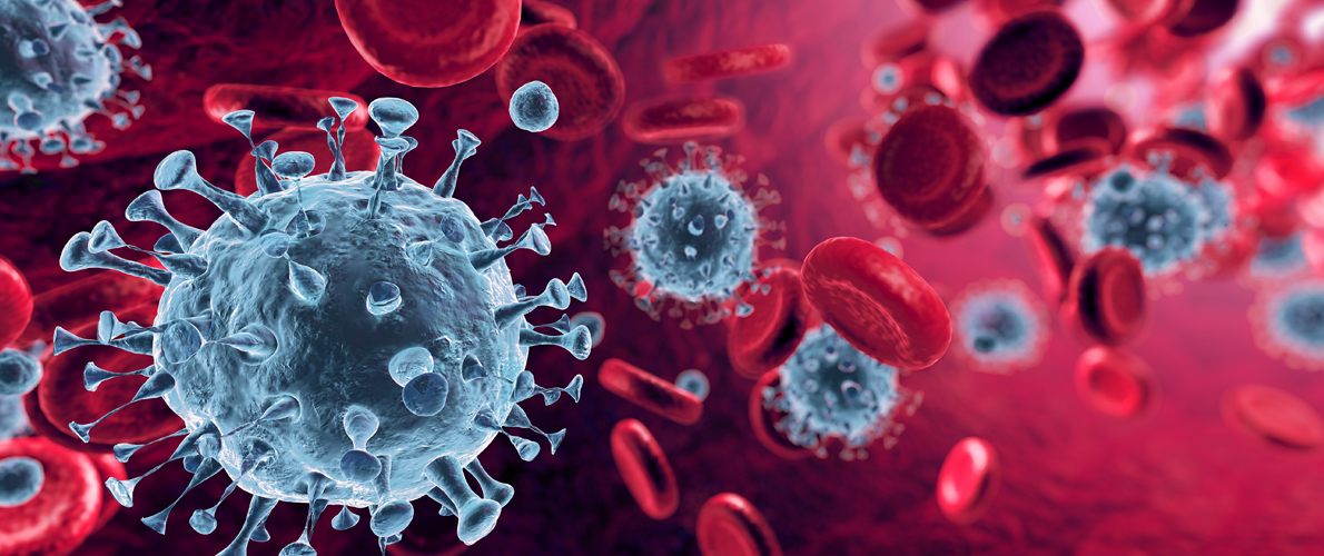 close-up of viruses in the human body with blue virus and red background