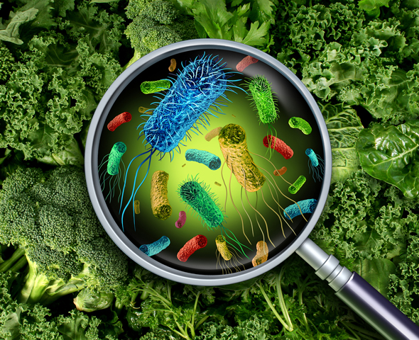 Vegetables in the background with a magnifying glass in the foreground with exact representation